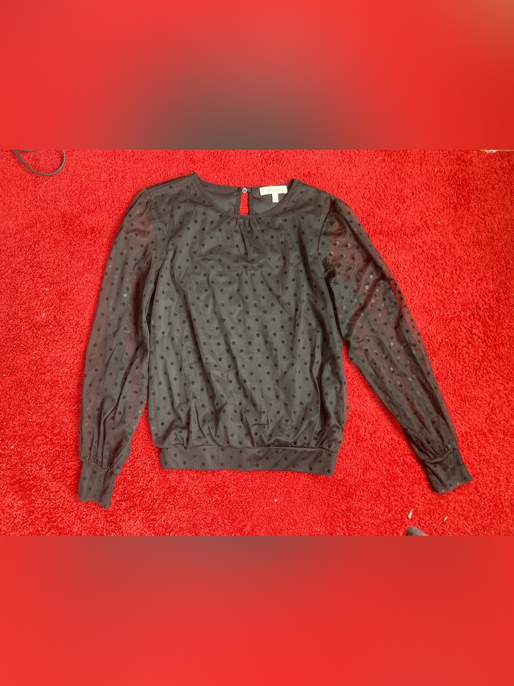 Oasis Black Sheer Dot-Textured Long Sleeve Top